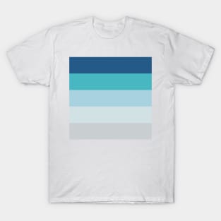 Blue color stripe T-Shirt